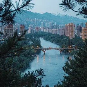 如意的解释和含义