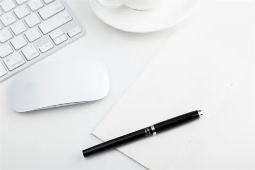 苔藓做有什么含义