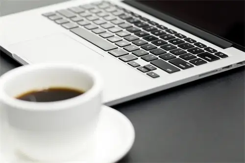 特殊可复制有含义